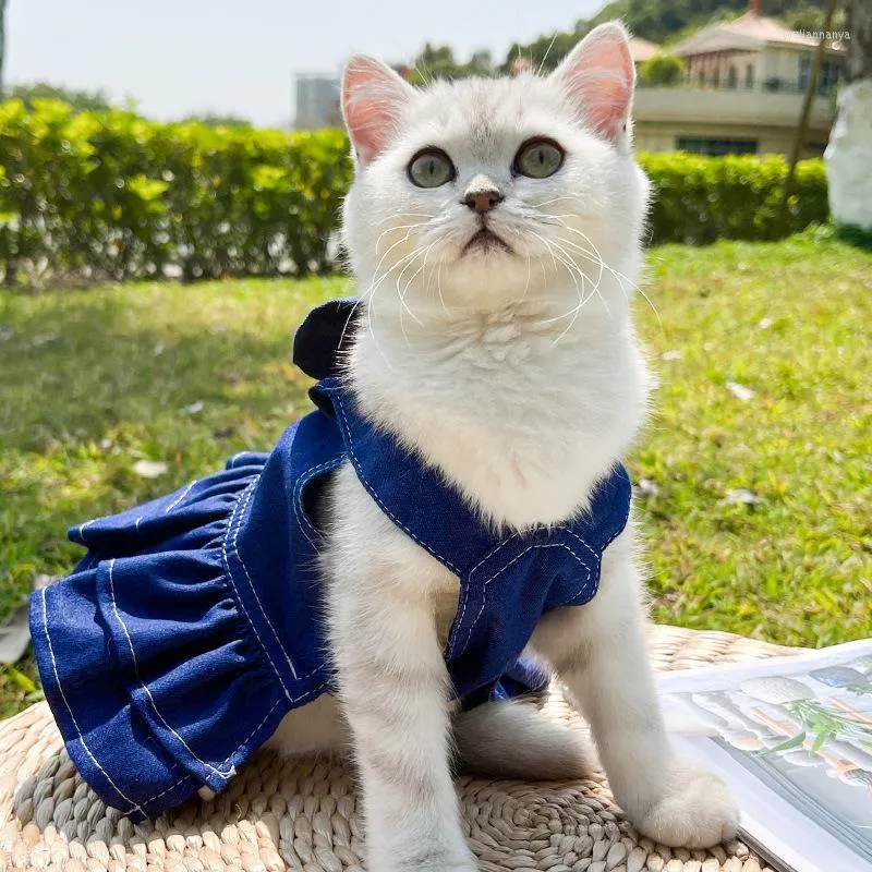 Cat jean vest store
