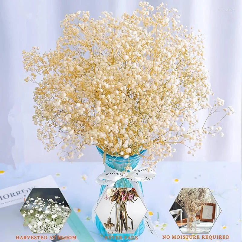 Decoratieve bloemen Immortal Gypsophila Natuurlijk gedroogd voor bruiloft Home Decor Christmas krans accessoires Flores Artificiales