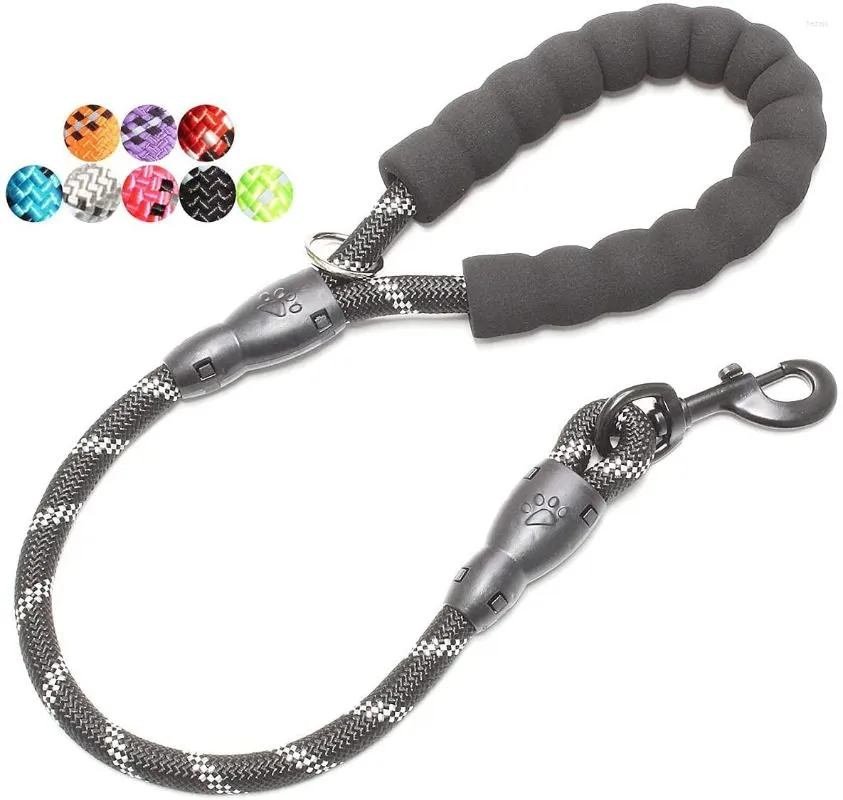 Hondenkragen 2/4/5/6 ft sterke riem met comfortabele gewatteerde handgreep en zeer reflecterende draden voor kleine middelgrote grote honden