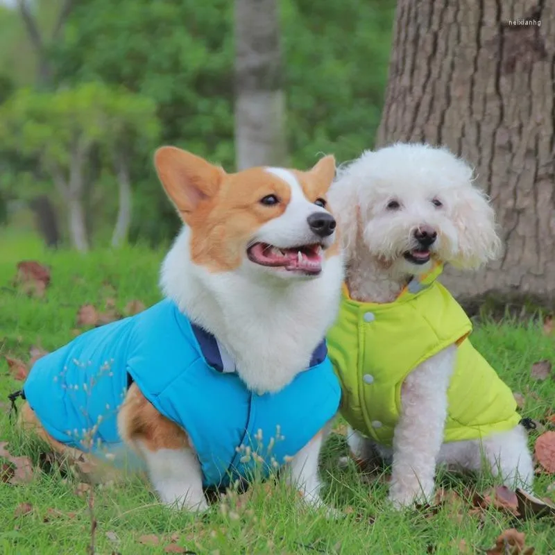 Abbigliamento per cani Abbigliamento per animali domestici Cappotto per cani di piccola taglia Le giacche autunnali e invernali addensano riflettenti a prova di acqua