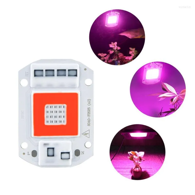 Grow Lights 50W 30W 20W COB lumière LED spectre complet 220V 110V 380nm-840nm Fitolampy Phyto lampe pour plantes tente boîte plante puce