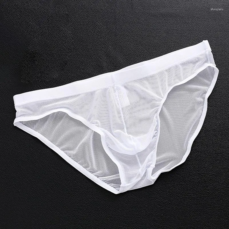 Sous Vêtements Hommes Slips Sexy Tulle Filet Transparent Respirant Mâle Couleur Unie Élastique