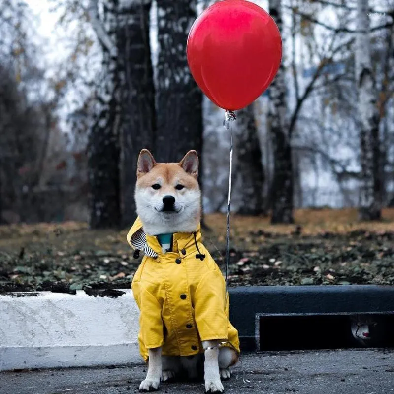 Capa de chuva de moda de vestuário para cães para cães casacos impermeáveis ​​à prova de vento pequenos pequenos roupas de estimação grandes