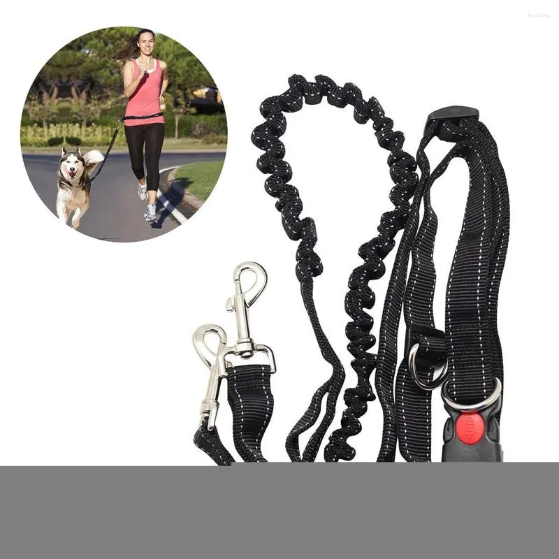 Colliers pour chiens, laisse pour animaux de compagnie, marche, course, Jogging, réglable, main libre, pour ceinture de taille, sangle de poitrine, corde de Traction, 2022