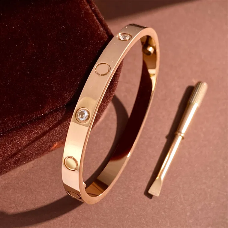 2022 Designer Stainless Steel Ruby Bangles For Women High End Friendship  Band With Gold And Silver Accents, Luxury Fashion Screw Ruby Bangless From  Zhuoya_jewelry01, $7.93 | DHgate.Com