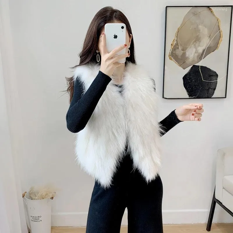 Korean Fashion Womens Furry Teddy Bear Faux Fur Blue Vest Winter Warm Short Waistcoat For Ladies From Hehuixiang 45.56 DHgate.Com