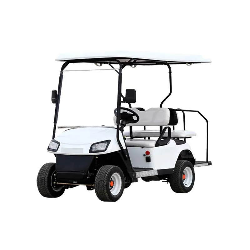 Einzelreihensitz Add1 Reihen Elektroautos Golfwagen Jagd Sightseeing Tour Vierrad robuste Farbe Optionale benutzerdefinierte Modifikation