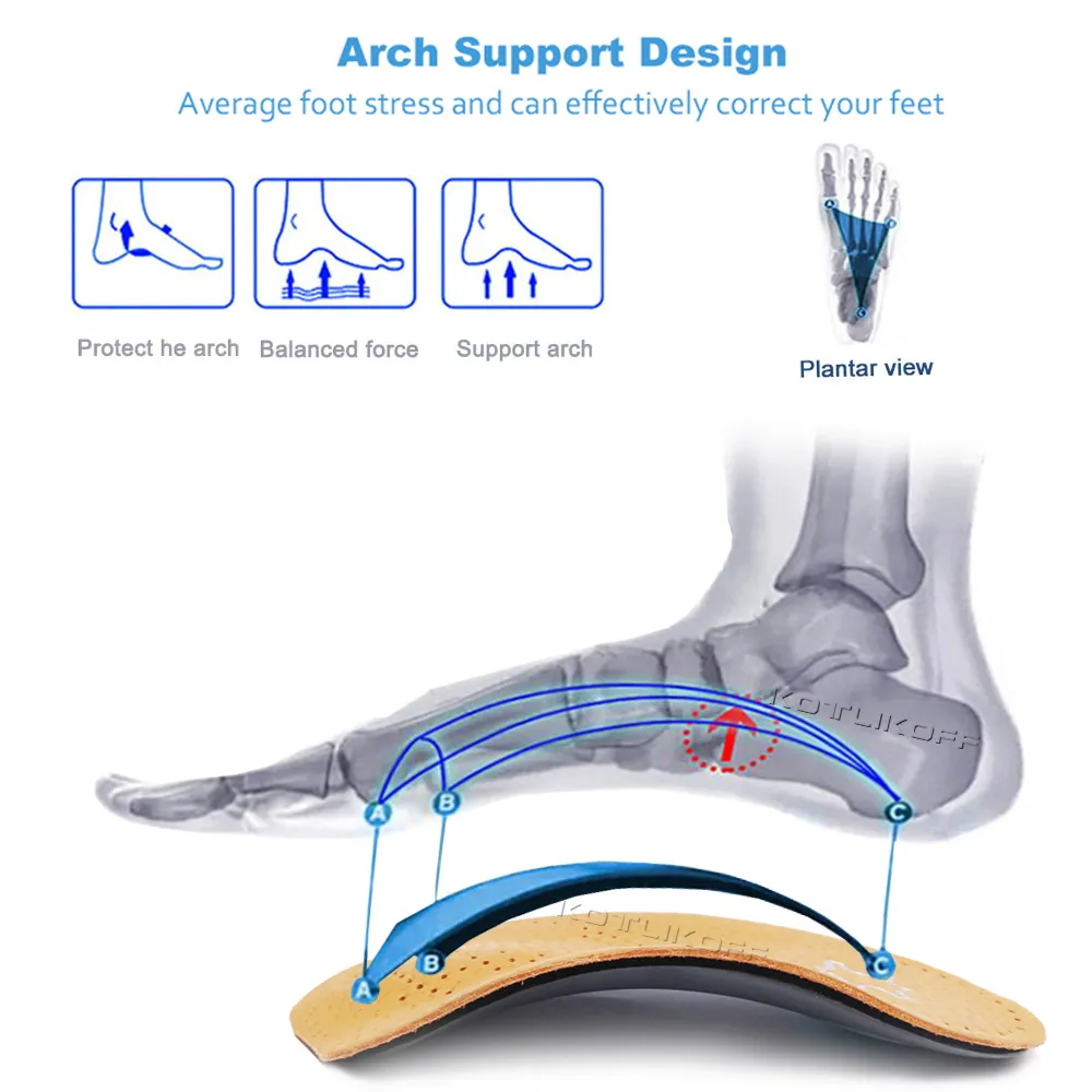 تدعم القوس للجنسين العجول العظمية مسطحة القدم الصحيح العظام