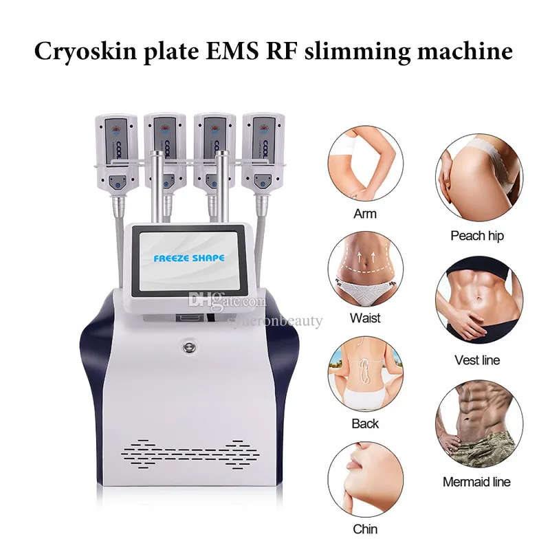 صفيحة Cryo EMS RF نظام العلاج بالتبريد جسم التخسيس 4 لوحات تجميد تجميد الشكل