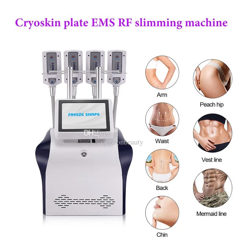Kryoterapi Kroppsbantning Kroppsformning 4 handtag fri form RF EMS Cryolipolysis Plate Machine