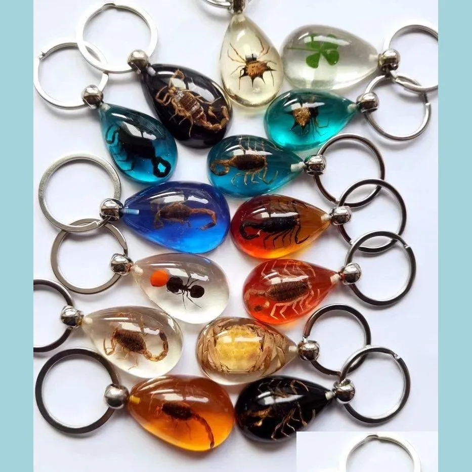 Nyckelringar 15 datorer Real Scorpion Spider Crab Ant Four Leaf Clover Drop Shaped Amber Harts Keychain Taxidermy Oddity Insect Encased Del Dhx0e