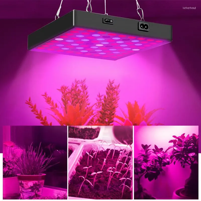 Grow Lights 25W 50W Plant Light Full Spectrum 410-730nm LED Lampade crescenti AC85-265V per piante Piantina di fiori