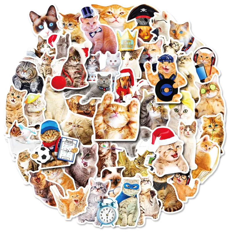 50pcs mignon chat animaux autocollants pour enfants adolescents vinyle autocollant étanche pour ordinateur portable pare-chocs planche à roulettes bouteilles d'eau ordinateur téléphone BP-317