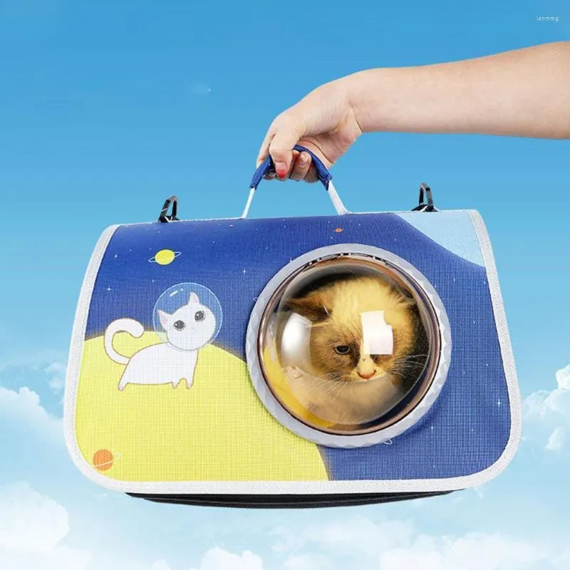 Cat Carriers Pet Travel Carrier Réutilisable Flight Case Pliable Résistant Aux Taches Ultraléger Petit Sac