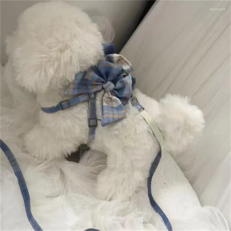 Hundhalsar Small Vest Traction Rope Puppy Harness Pet Cat Harnesses Bowknot Collar Breattable Cute Belt Supplies Yorkshire