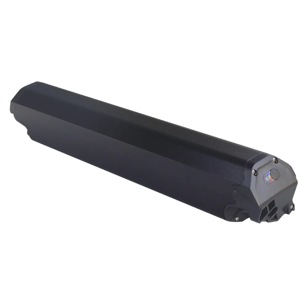 Reention Dorado Ebike 48 Volt Lithium Battery 48V/36V 20Ah Capacity