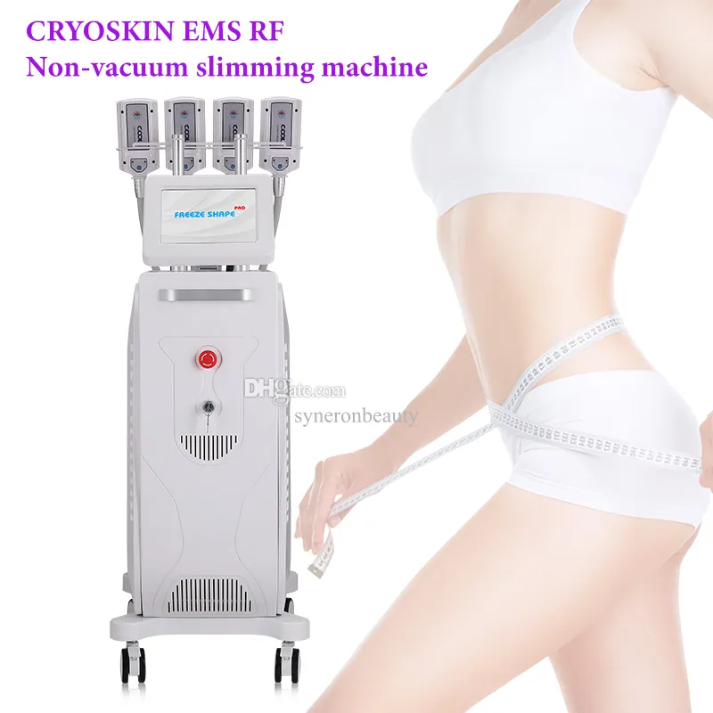 vertical type Cryo slimming system cryotherapy fat freezing EMS technology cryoslim shape machine