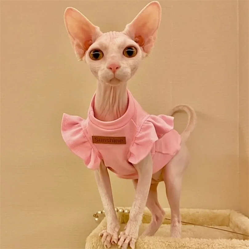 فاخر sphynx cat الملابس الصيف الكلب فستان فستان للقطط الخالية من الشعر الملابس الصغيرة الفرنسية بولدوغ جرو الأزياء القطط سترة 0622