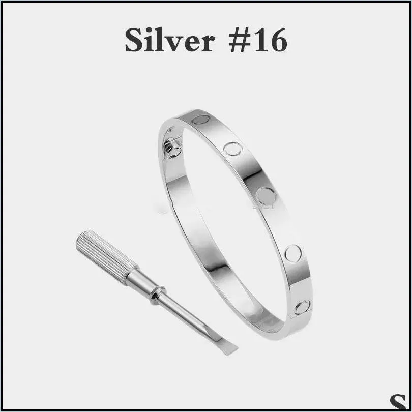 Mens Designer Bangle Bracelet Titanium Steel Screw Bangle Love Bracelet Jewelry Sier Rose Gold From Seashellshop 8.38 DHgate.Com