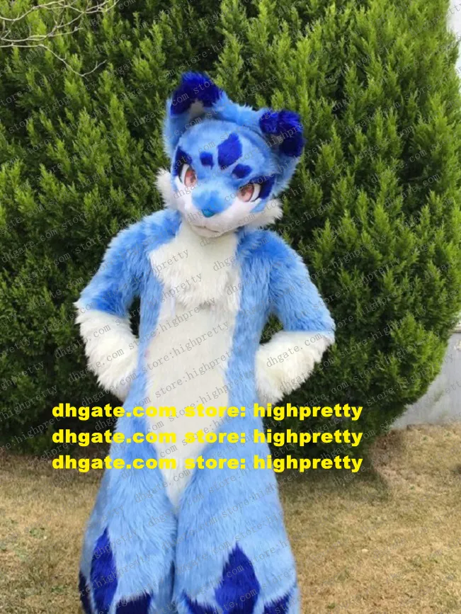 Bleu longue fourrure Fursuit Furry Husky chien loup renard mascotte Costume adulte personnage de dessin animé tenue groupe Photo méga-événement zz7593