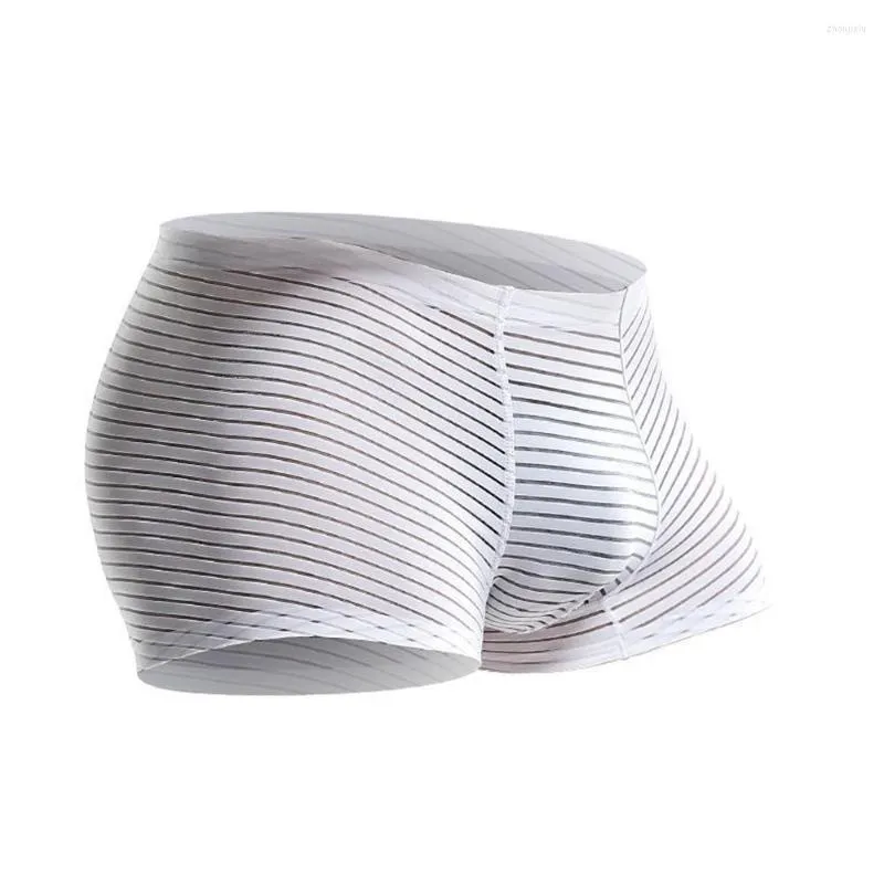 Caleçon Perspective sans couture hommes Sexy U convexe poche Boxer slips sommeil bas sous-vêtements Sissy Lingerie pour hommes