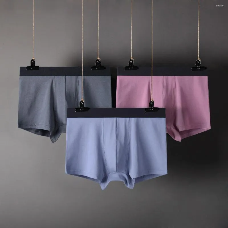 Underpants S-6XL 남성 속옷 복서 면화 맨 아래 마모 가능한 단단한 복서 쇼트 권투 선수 homme 2pcs/ pack