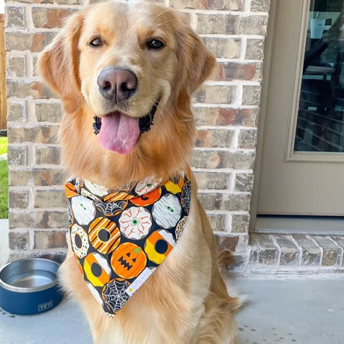 Christmas Bandanas Pet Collar Bandana Dog Apparel Santa Party Pets Scarf Neckerchief Washable Dogs Bibs Dog Cat Xmas Gifts YSJ03