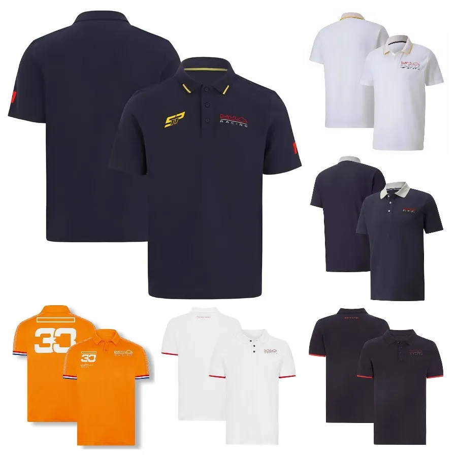 2023 Nieuwe F1 Team Poloshirt T-shirt Zomer Formule 1 Racing Heren T-shirt met korte mouwen Aangepaste Racing Fans T-shirts Sport Jersey