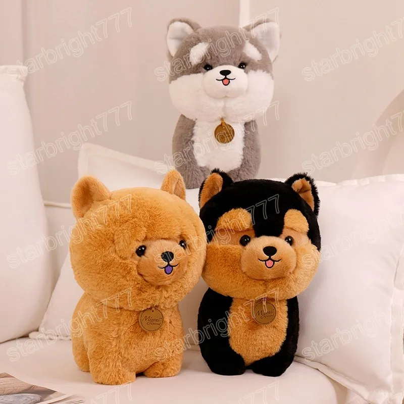 25/35 cm Simpatico Cane Peluche Simpatico Corgi Farcito Peluche Bambole Accompagnamento Cuscino per Bambini Compleanno Regalo di Natale