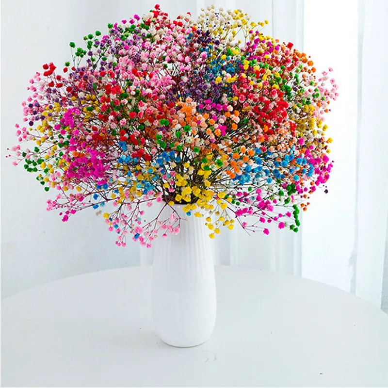 Ghirlande Di Fiori Decorativi Gypsophila Baby Breath Milioni Di Stelle  Pianta Naturale Conservata Essiccata Casa Matrimonio Natale Anno  Decorazione Personalizzata 221025 Da 8,22 €