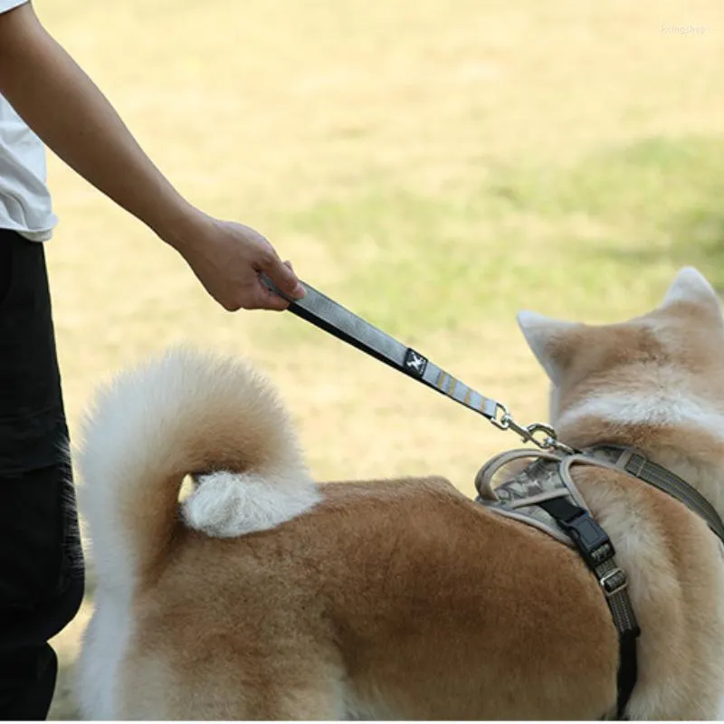Colarinhos de cachorro nylon colarinho de estimação curta caminhada ao ar livre corda corda cinto de segurança para cães de treinamento de cães