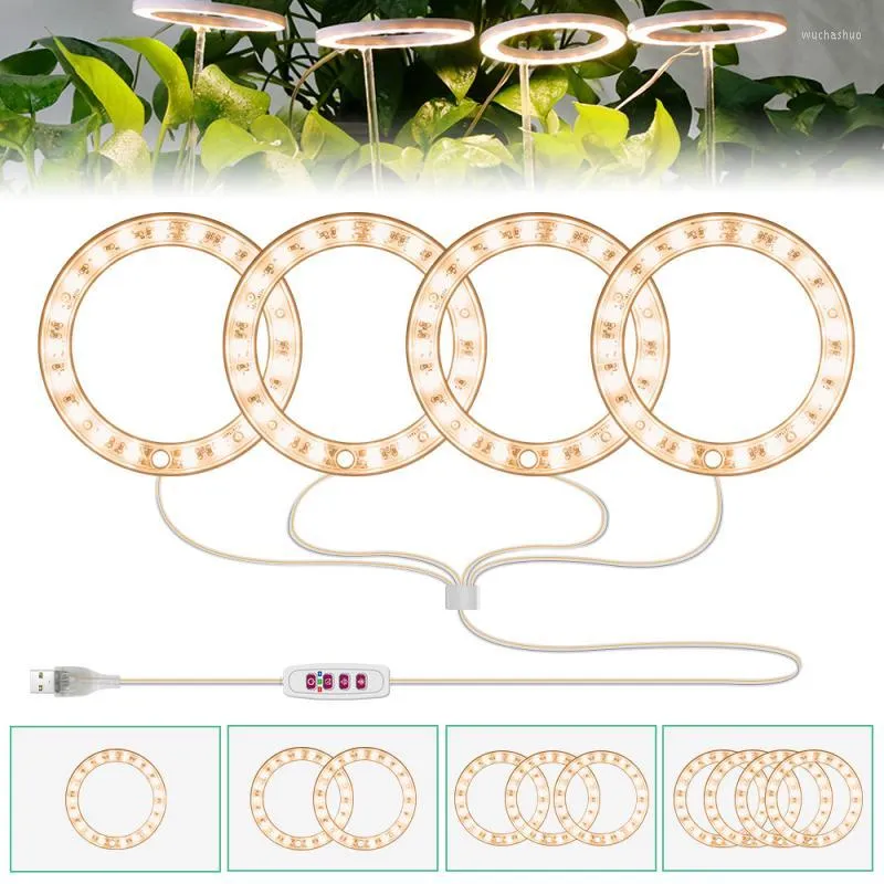 GROEP LICHTEN LED ENGEL RING LICHT DC5V USB PHYTOLAMP VOOR PLANTEN VOLLEDIGE SPECTRUM LAMP indoor planten zaailingen huisbloem succulet