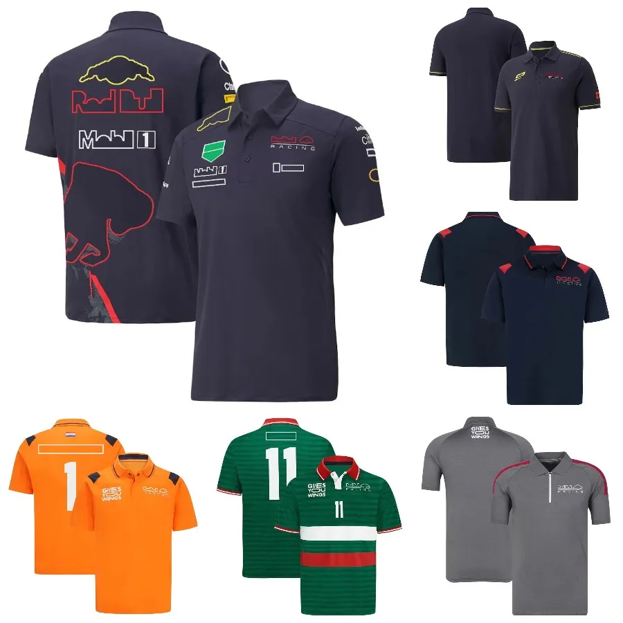 2022 Novas camisas polo da equipe de F1 Logotipo da equipe de manga curta Piloto de Fórmula 1 Mesmo estilo Camiseta para fãs de F1 Camisetas masculinas de esportes motorizados de grandes dimensões personalizadas