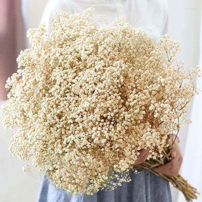 Dekorativa blommor naturliga färskt torkade bevarade gipsophila paniculata eviga andetag buketter alla hjärtans dag gåva bröllop heminredning