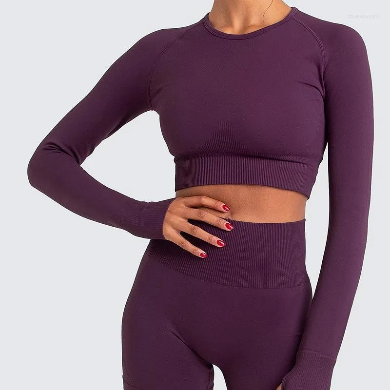 Tenue de yoga vêtements d'entraînement pour femmes 7 couleurs sans couture ensemble Sportwear Gym à manches longues haut court taille haute Sport Leggings académique