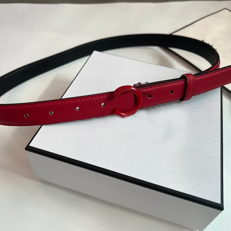 6 Cinture in pelle Cintura stilista per donna Cintura Ceinture Cintura sottile Cintura da donna Larghezza 2,5 cm Fibbia colorata Cinture da donna Pu