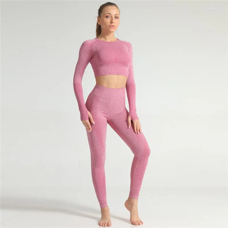 Survêtements pour femmes NORMOV sans couture femmes ensembles hauts d'entraînement haut Wasit Push Up Jpggings décontracté 2 pièces de solides costumes de Fitness Feminina