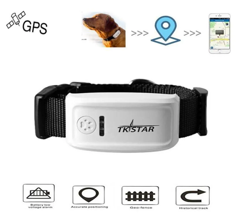 Długi czas gotowości TK909 Dog Pets Pets w czasie rzeczywistym GPS Tracker Global GSM GPRS Lokalizator IOSandriod App Service6798287