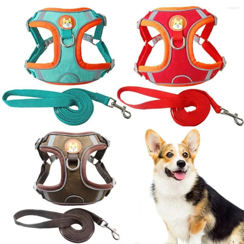 Colliers pour chiens, 2 pièces/ensemble, harnais pour animaux de compagnie, bandes de laisse, Kit d'entraînement universel pour petits Meduim