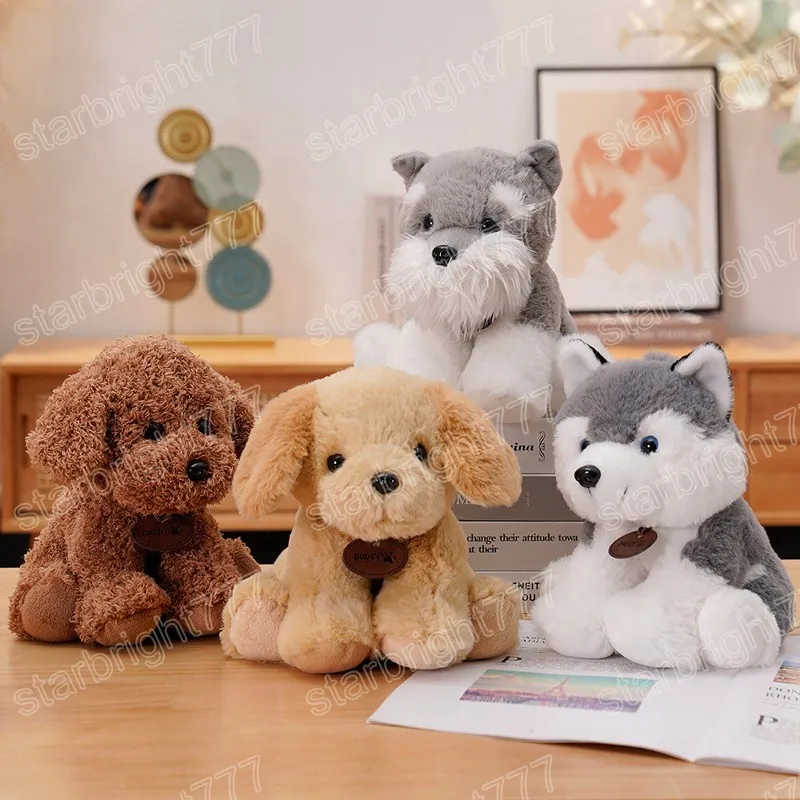 20cm Kawaii Teddy Dog Husky Plush Toys Lovely Bichifed Animals Dog Dolls para beb￪ Presente Infantil