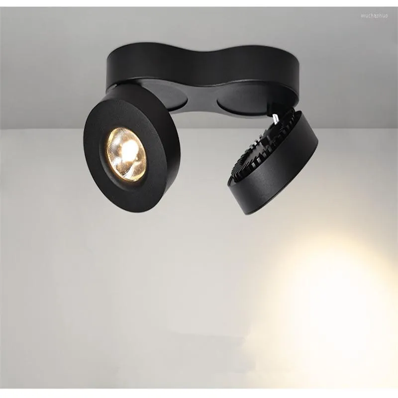 Plafonniers Haute Qualité Dimmable Monté En Surface LED Downlights 20W30W COB Lampe Spot AC110-220V Éclairage Intérieur