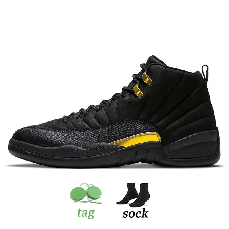 Fiba shop 12s gs