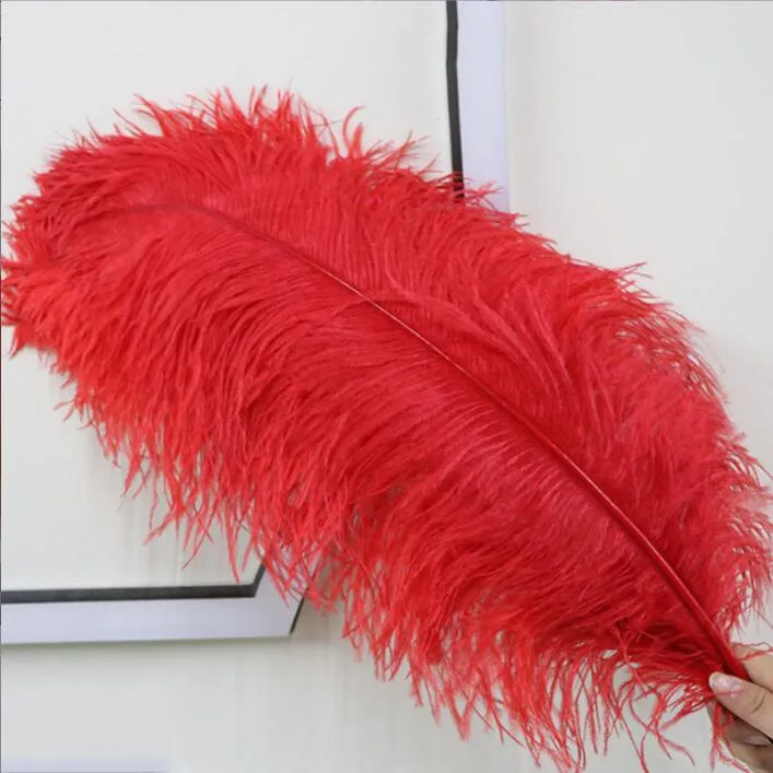 White Ostrich Feather Plume