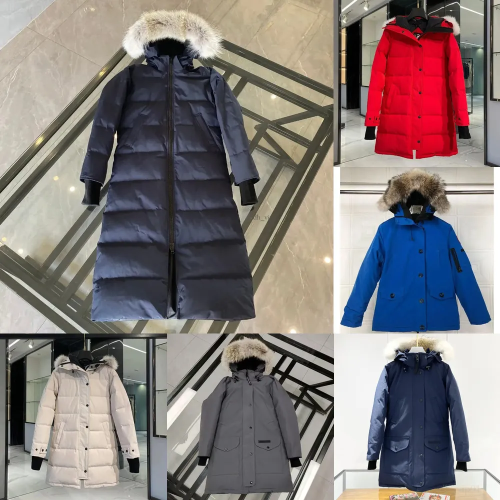 0cfee0a6-455e-4e50-8dcd-