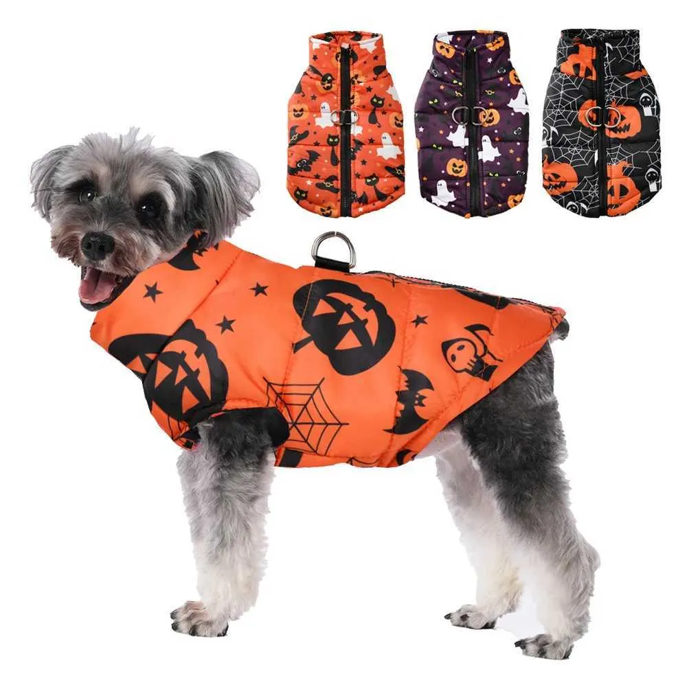 Bulldog Francese Costumi Da Bagno Marca Francese Bulldog Francese