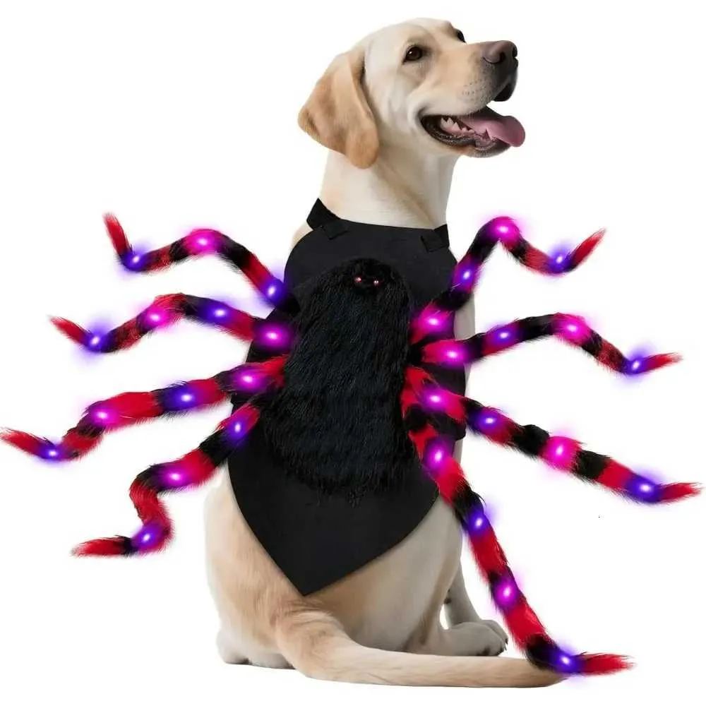 Large Dog Halloween Costume Spider Costume with LED Purple Lights
