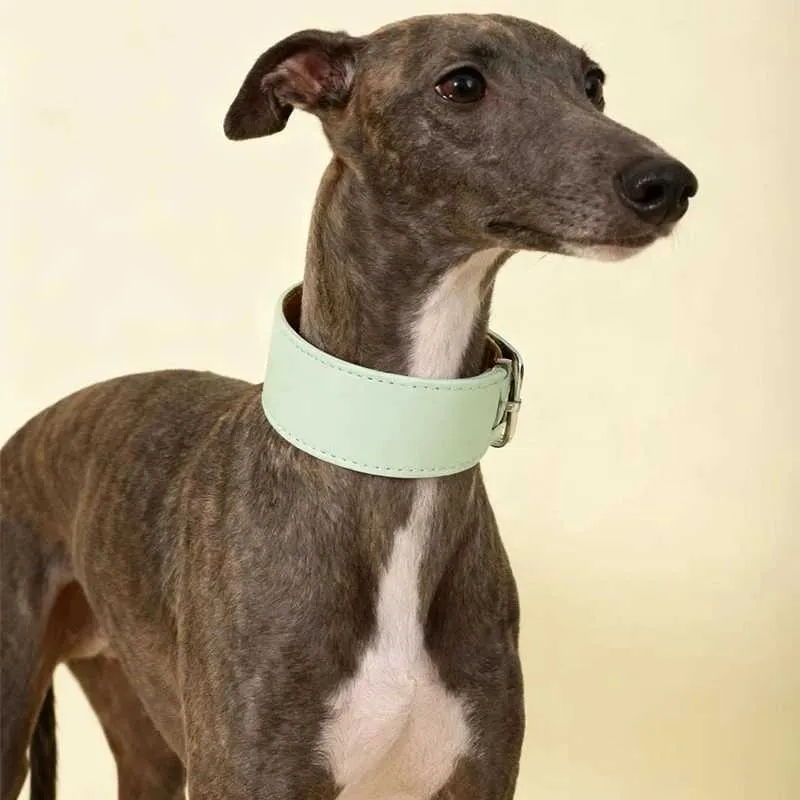 Italienisches Windhundhalsband und Leine aus weichem PU - Passend fr  Lurcher Whippet Saluki und andere Windhunde - Hochwertig und Pflegeleicht -  ...