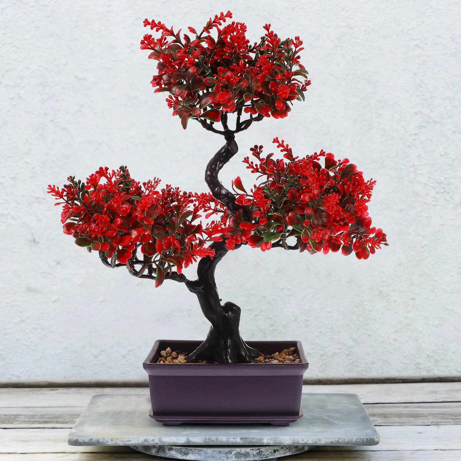 happy bonsai Happy Bonsai: Choose It  BookXcess