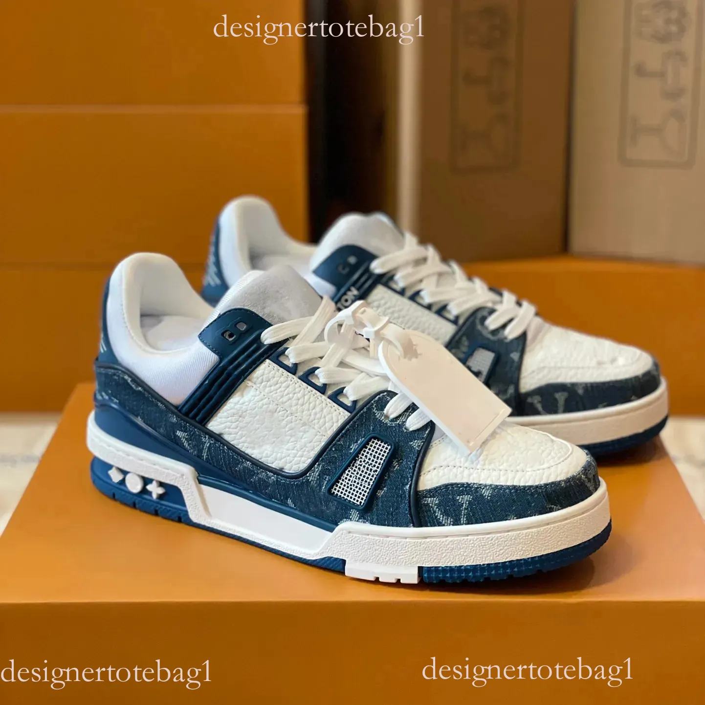 AAA Top Quality Skate Sneaker Designer Shoes Men Luxury Sneaker