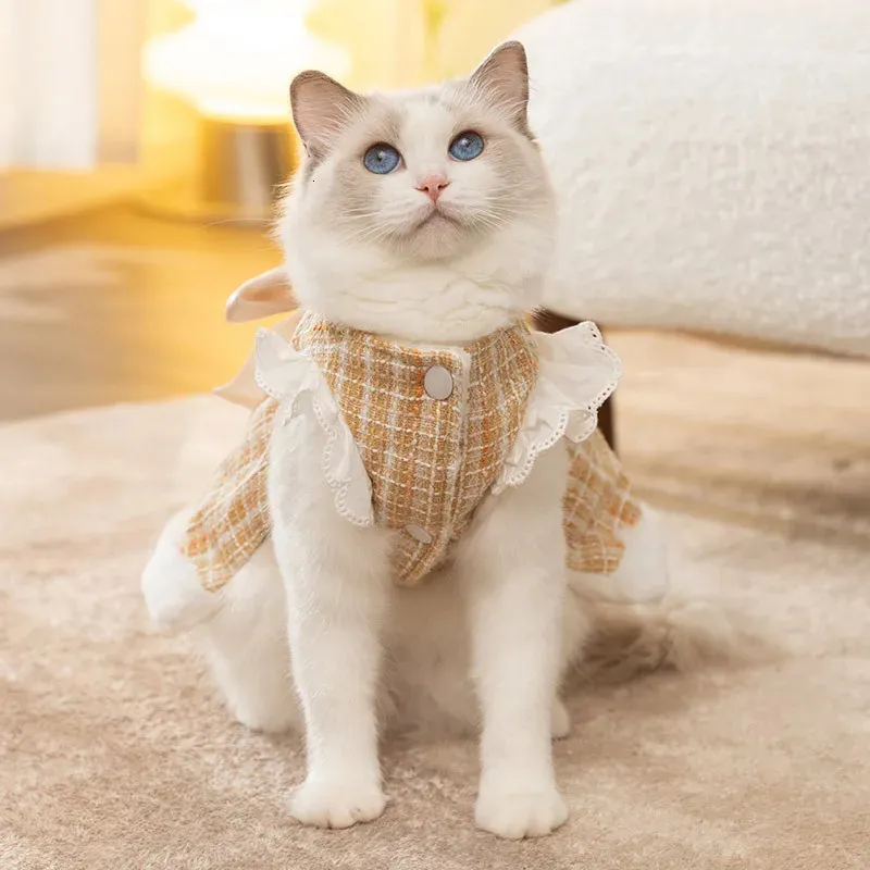 cute cat wearing dress Adorable Orange Cat in a Pink Dress